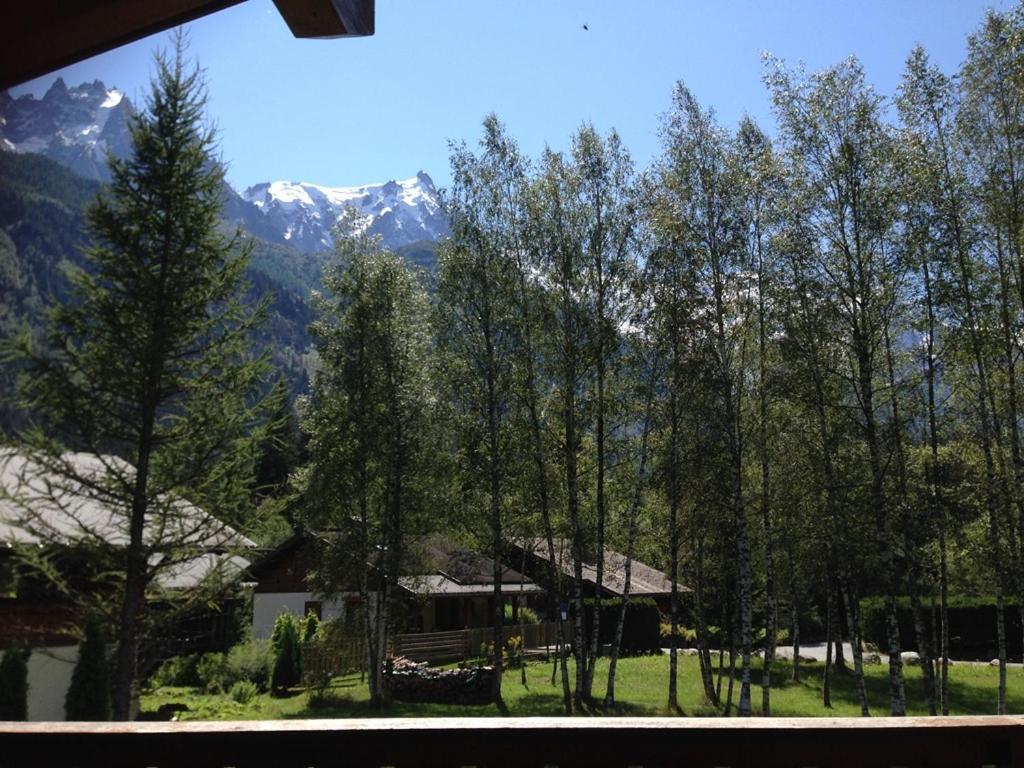 Chalet Champraz - Free Parking 샤모니 외부 사진